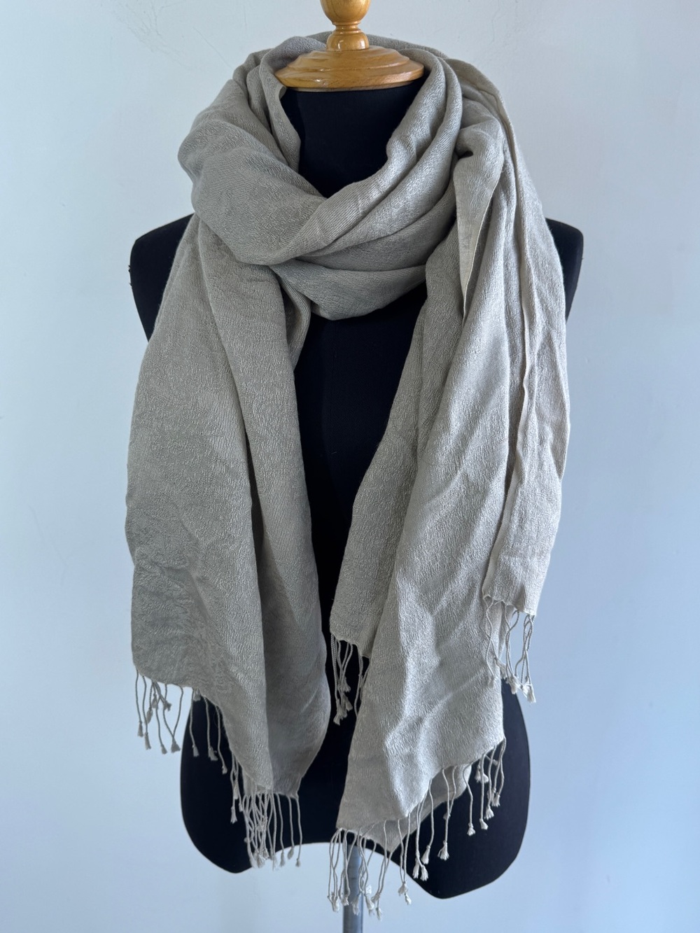 Pashmina Silk Scarf Light Gray One Size Quiet Luxury Minimalist Fringe Wrap